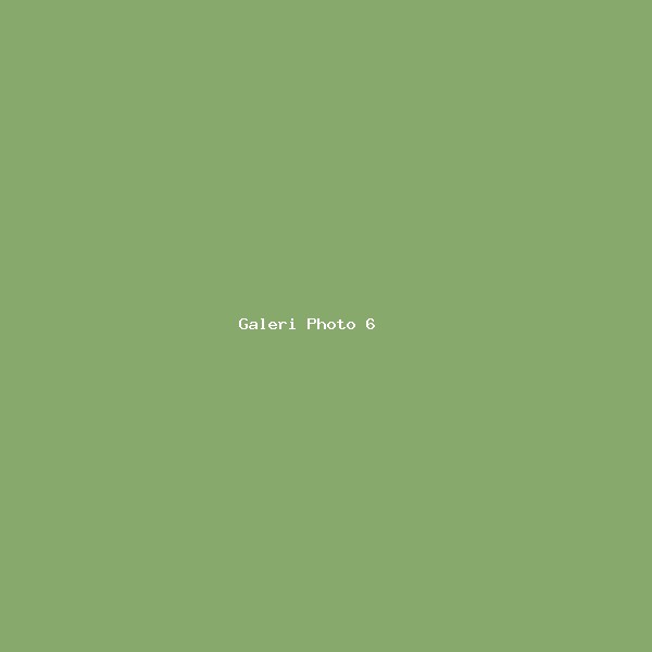 Galeri Photo